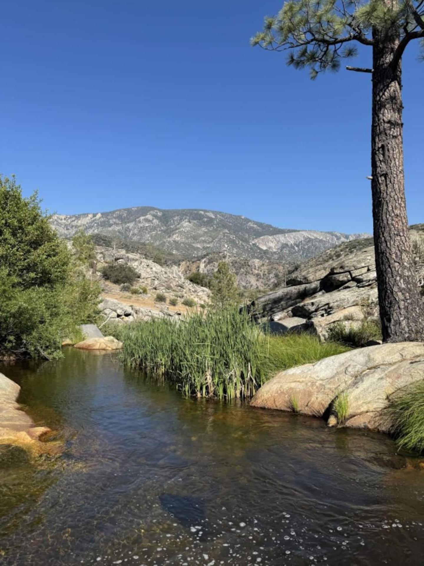 Peppermint Falls Ranch Ponderosa Екстериор снимка