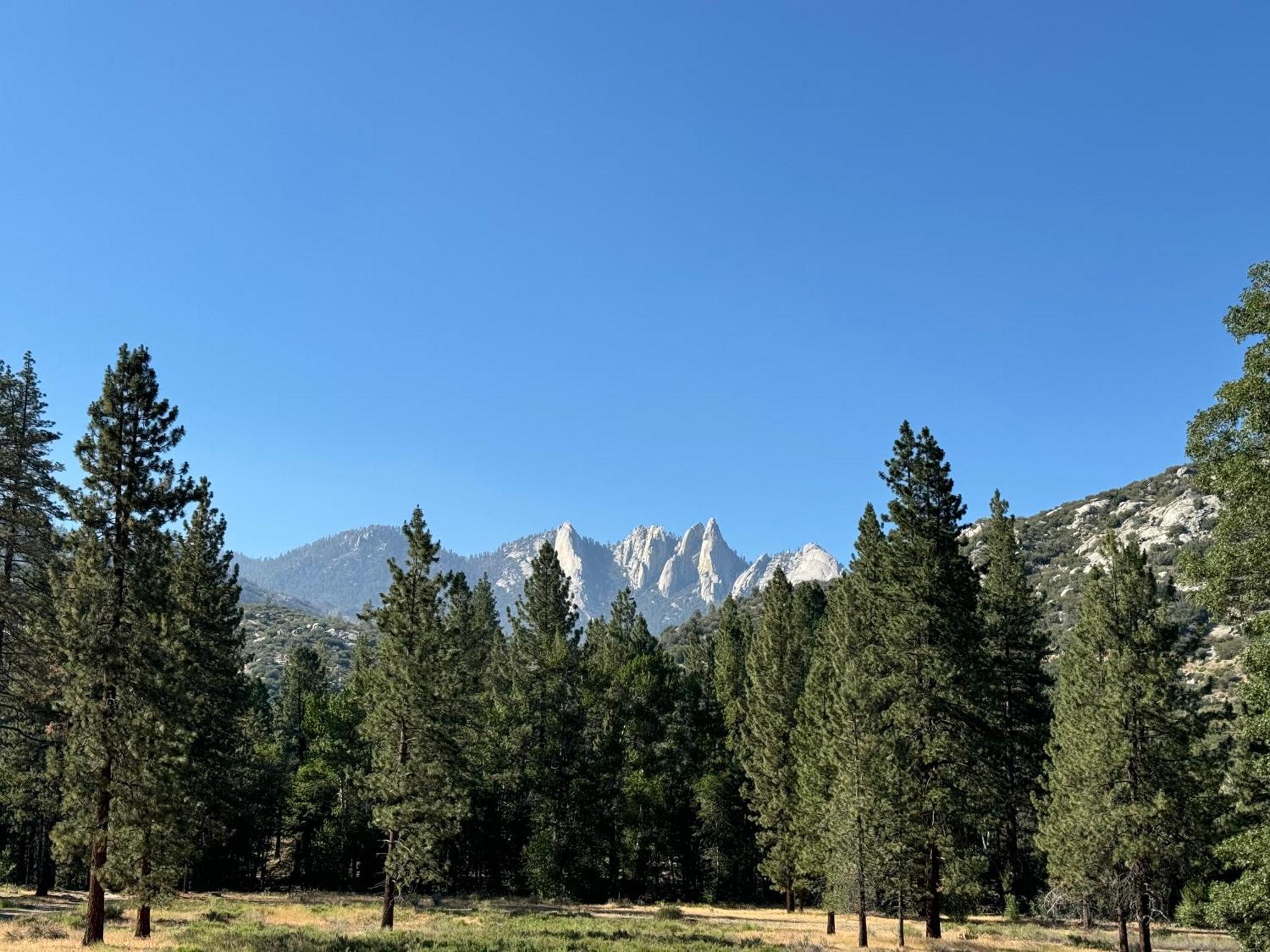 Peppermint Falls Ranch Ponderosa Екстериор снимка