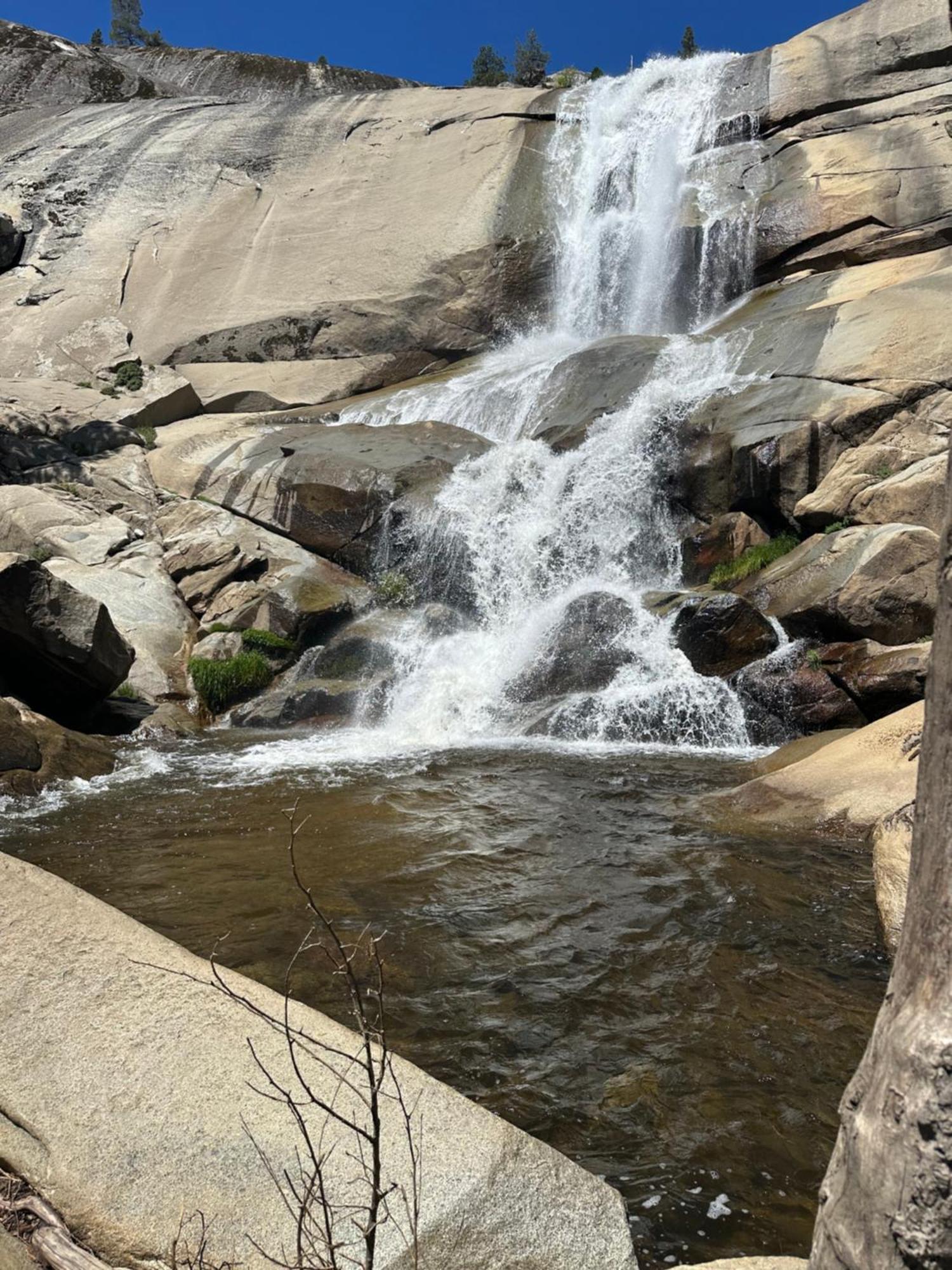 Peppermint Falls Ranch Ponderosa Екстериор снимка
